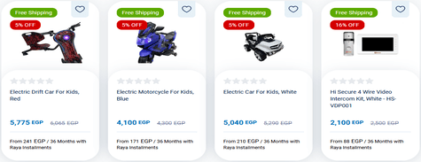 Raya Electronics